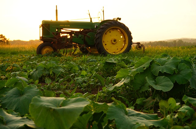 agriculture