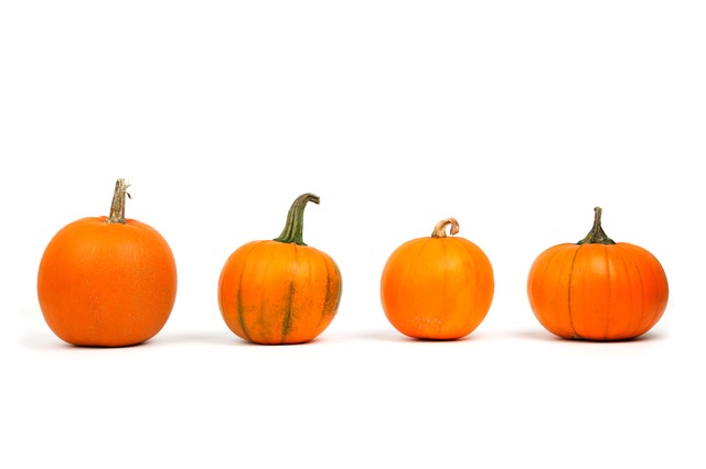 pumpkin banner
