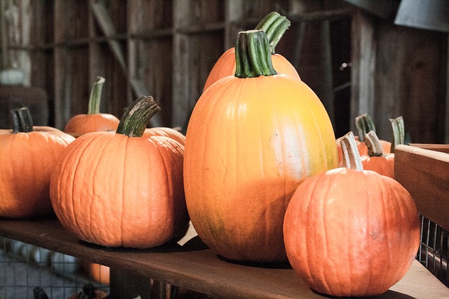 pumpkins