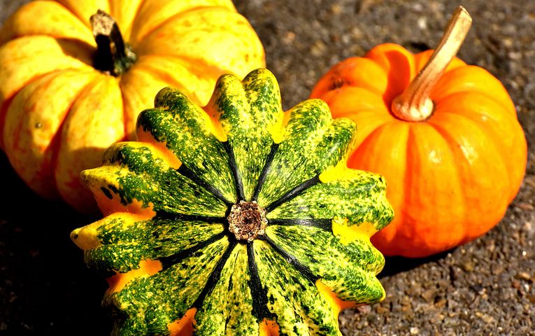 Multiple Pumpkins