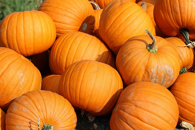 pumpkins
