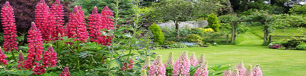 Country Garden
