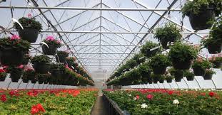 OutDoor Garden