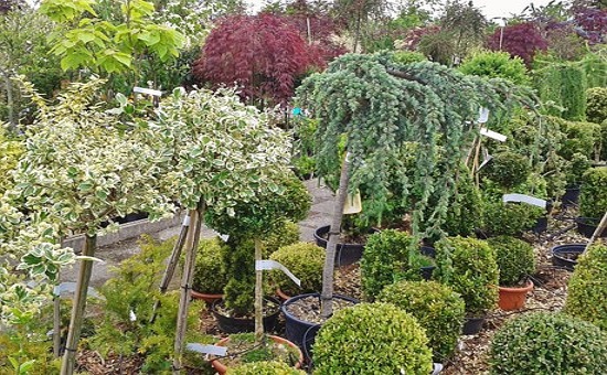 Greenhouse