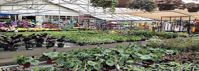 Greenhouse